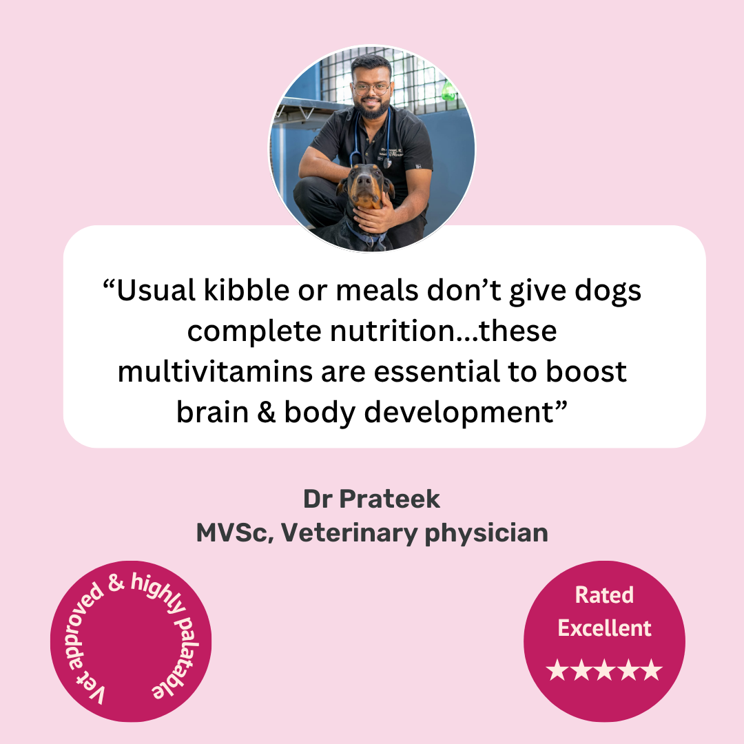 Multivitamin Chews