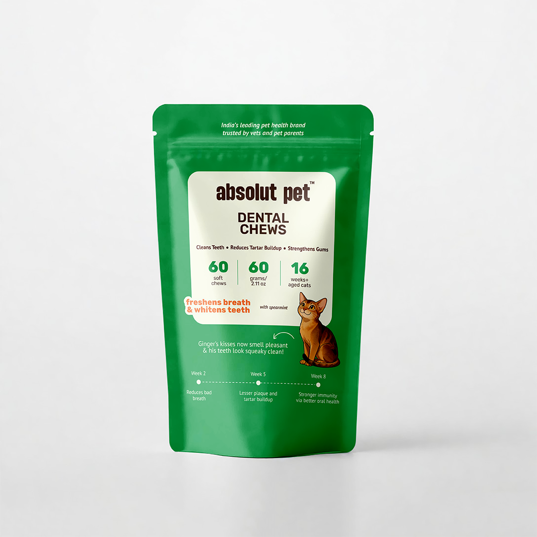 Cat Dental Supplement