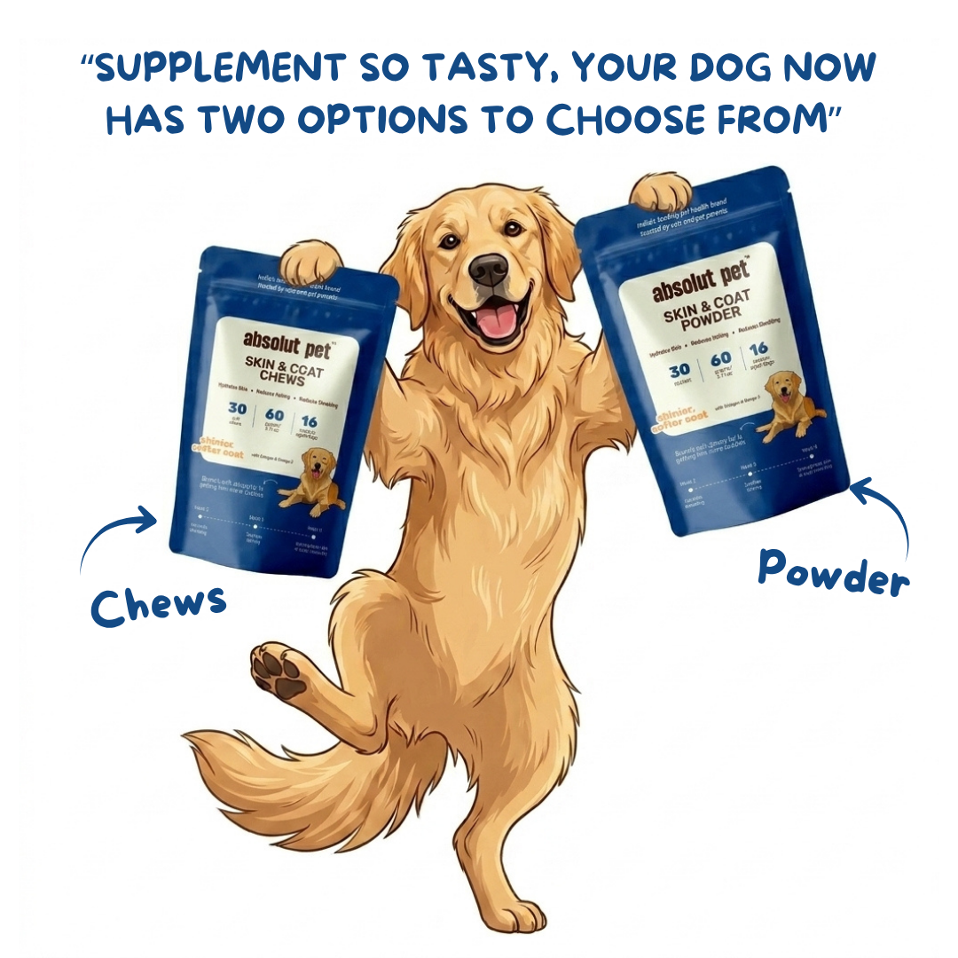 Skin & Coat Supplement