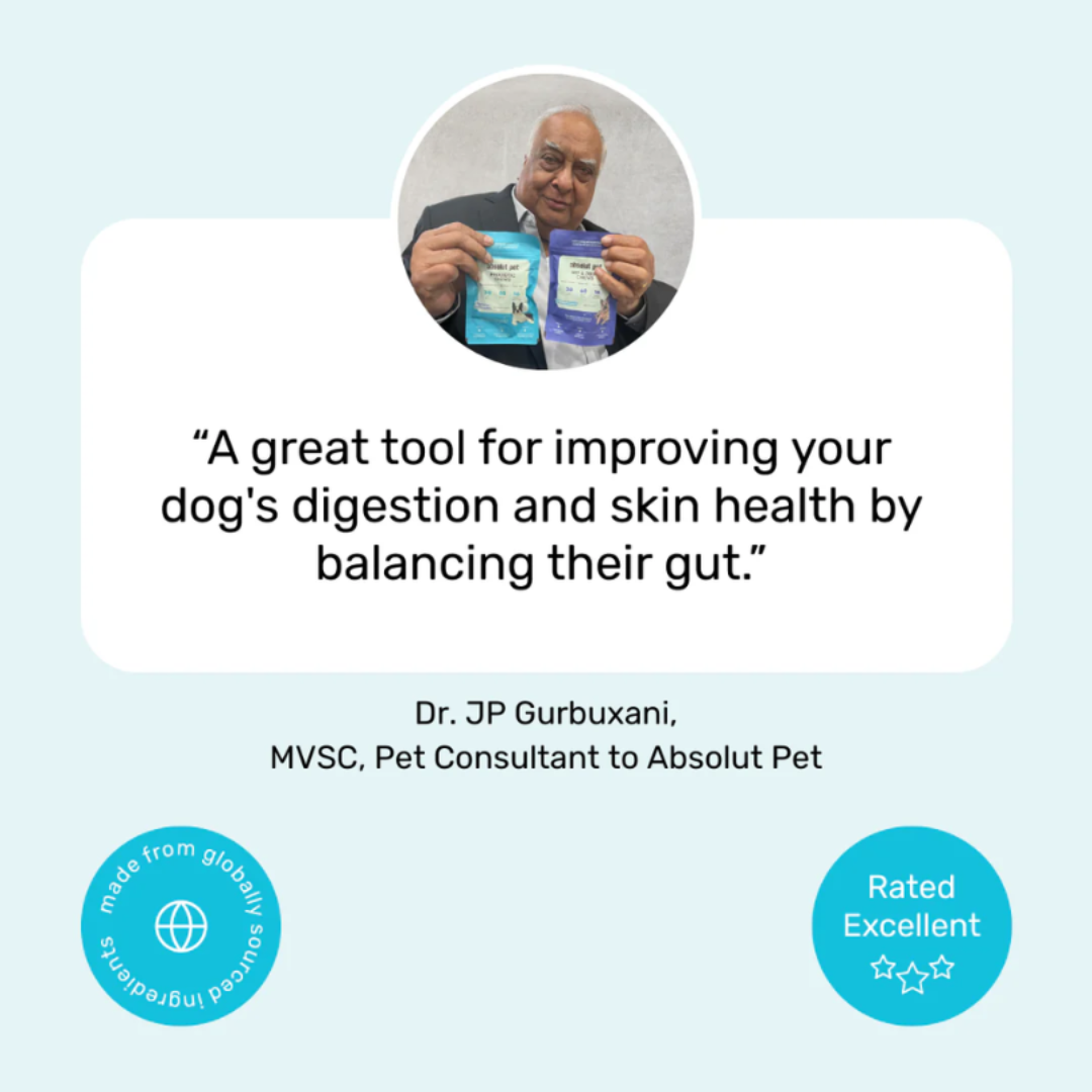 Probiotic & Gut Chews