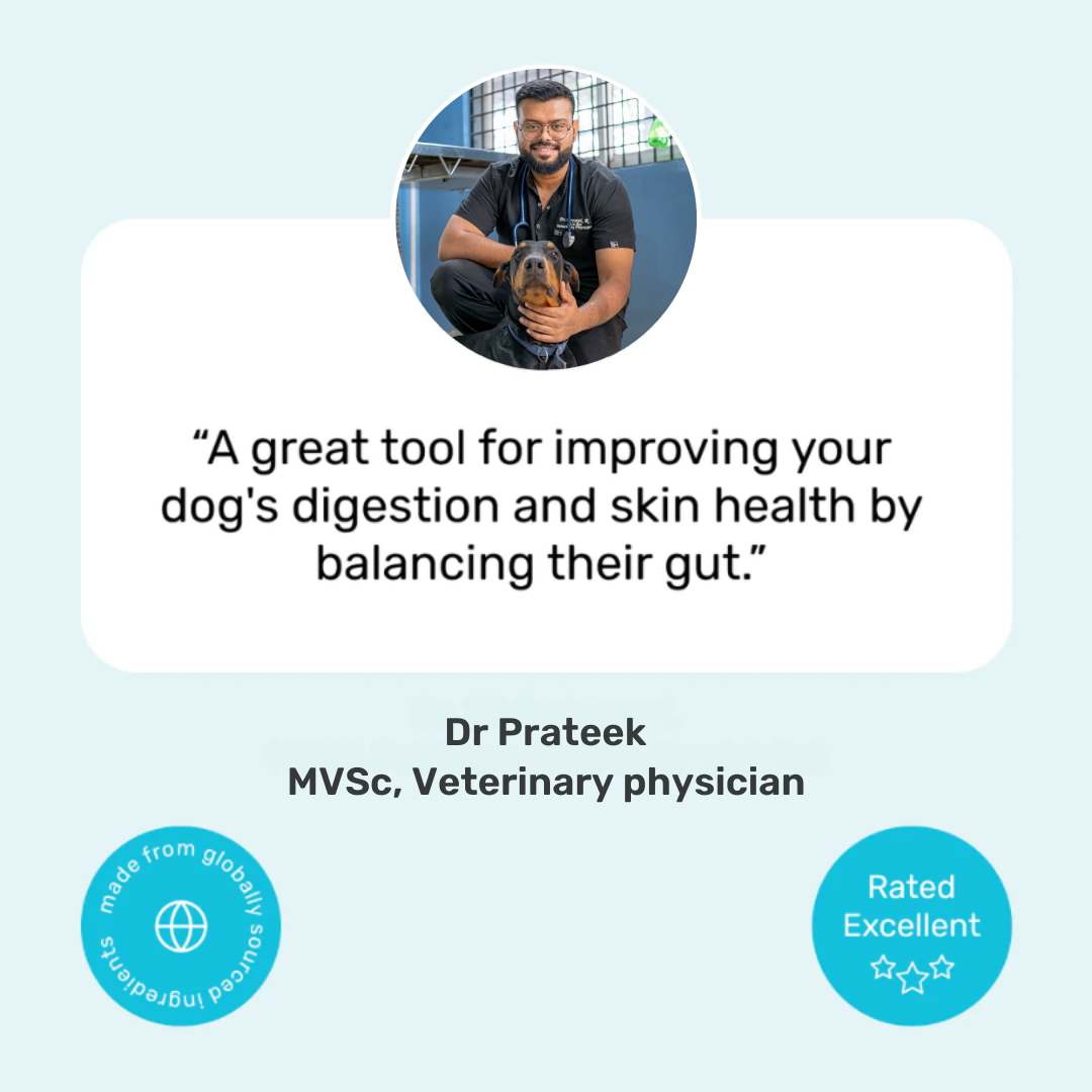 Probiotic & Gut Chews