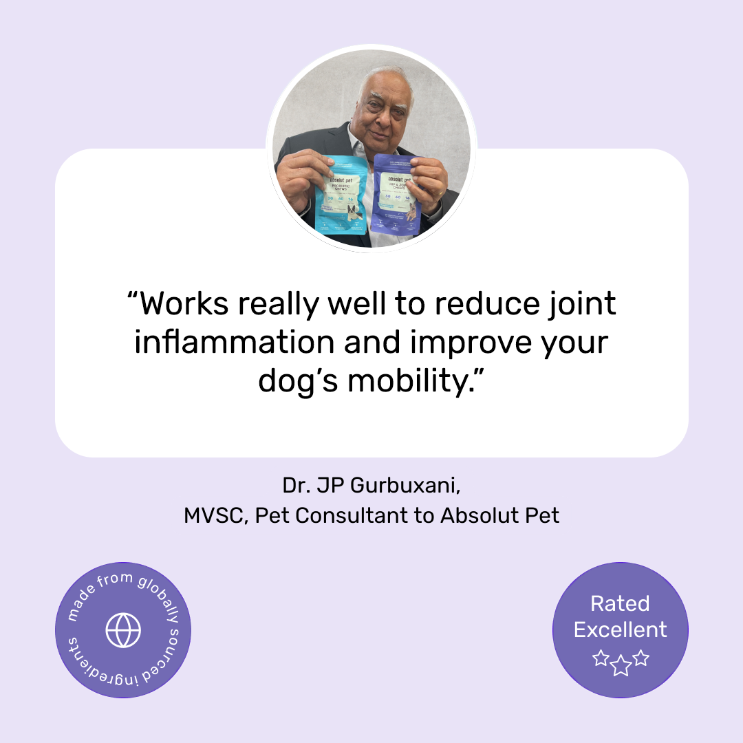 Hip & Joint Chews