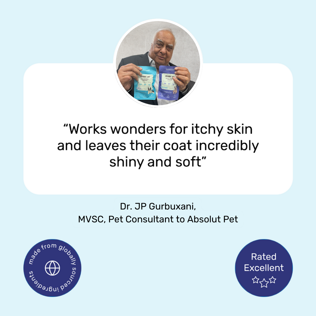 Skin & Coat Chews