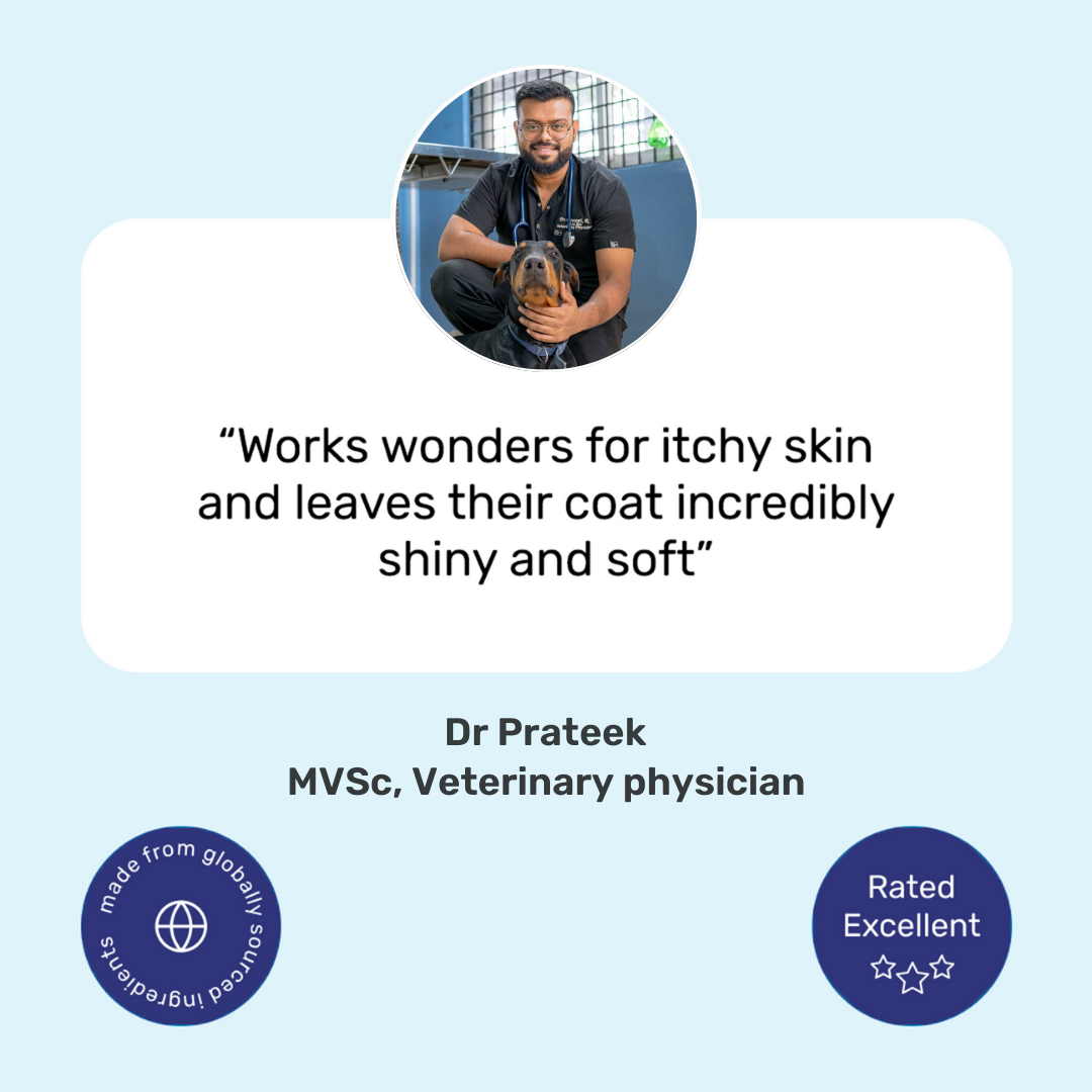 Skin & Coat Chews