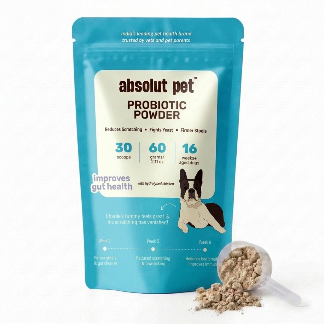 Probiotic & Gut Supplement