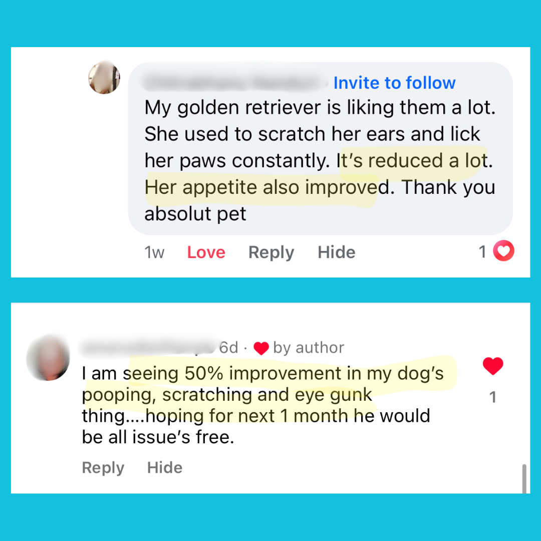 Probiotic & Gut Chews