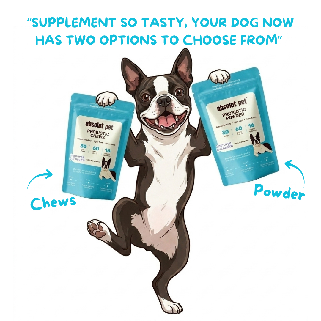 Probiotic & Gut Supplement