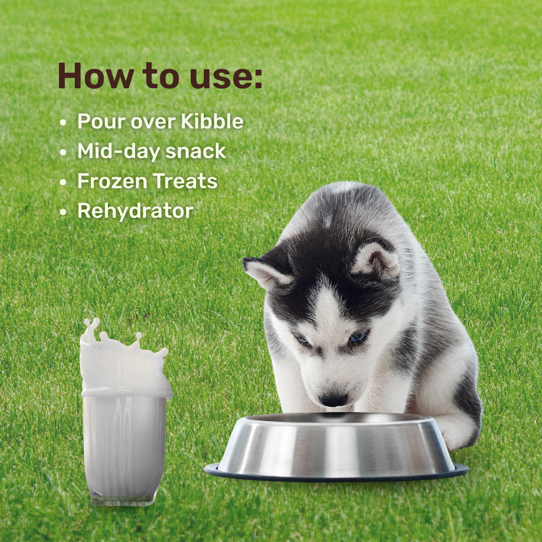 Protein Milk For Dogs