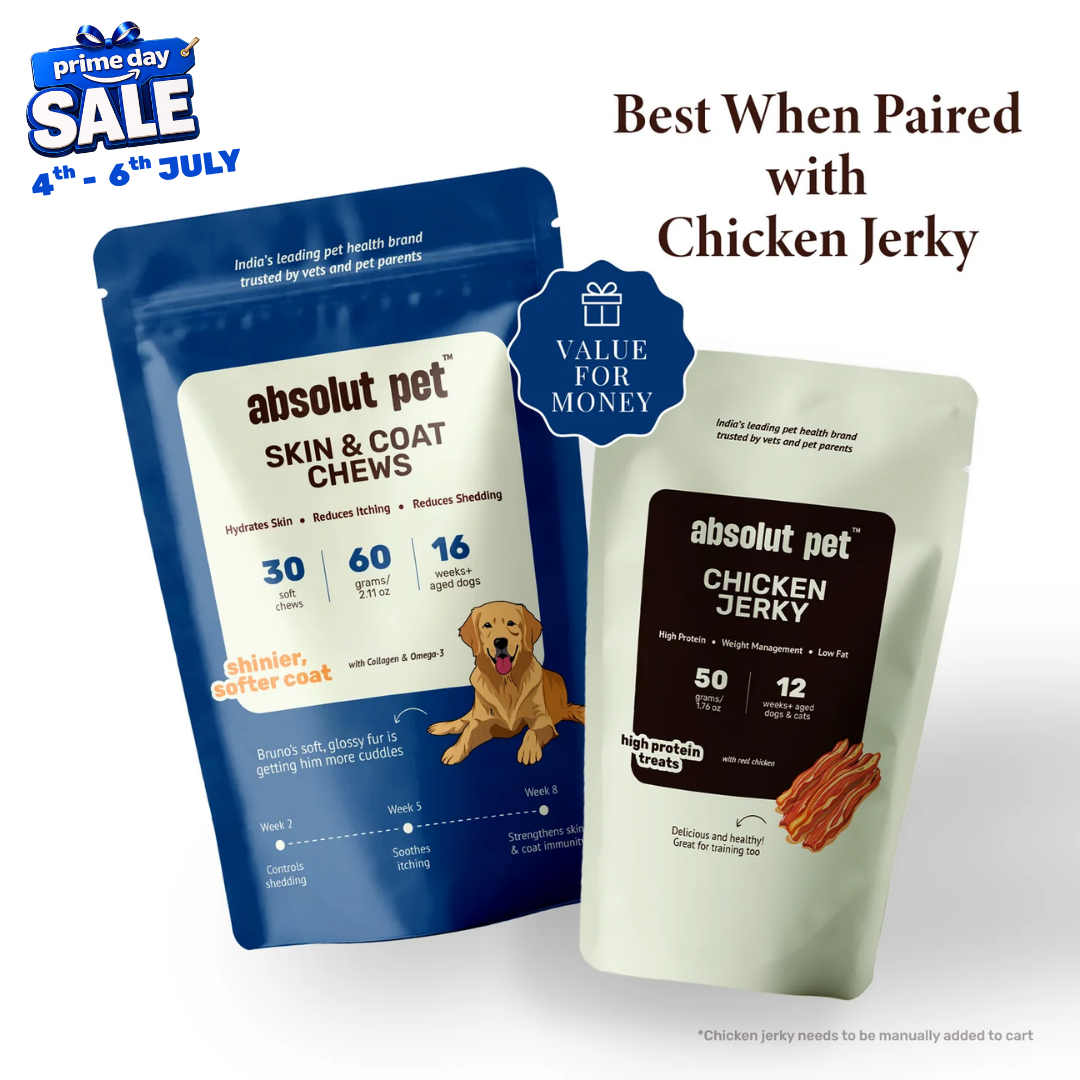 Skin & Coat Chews