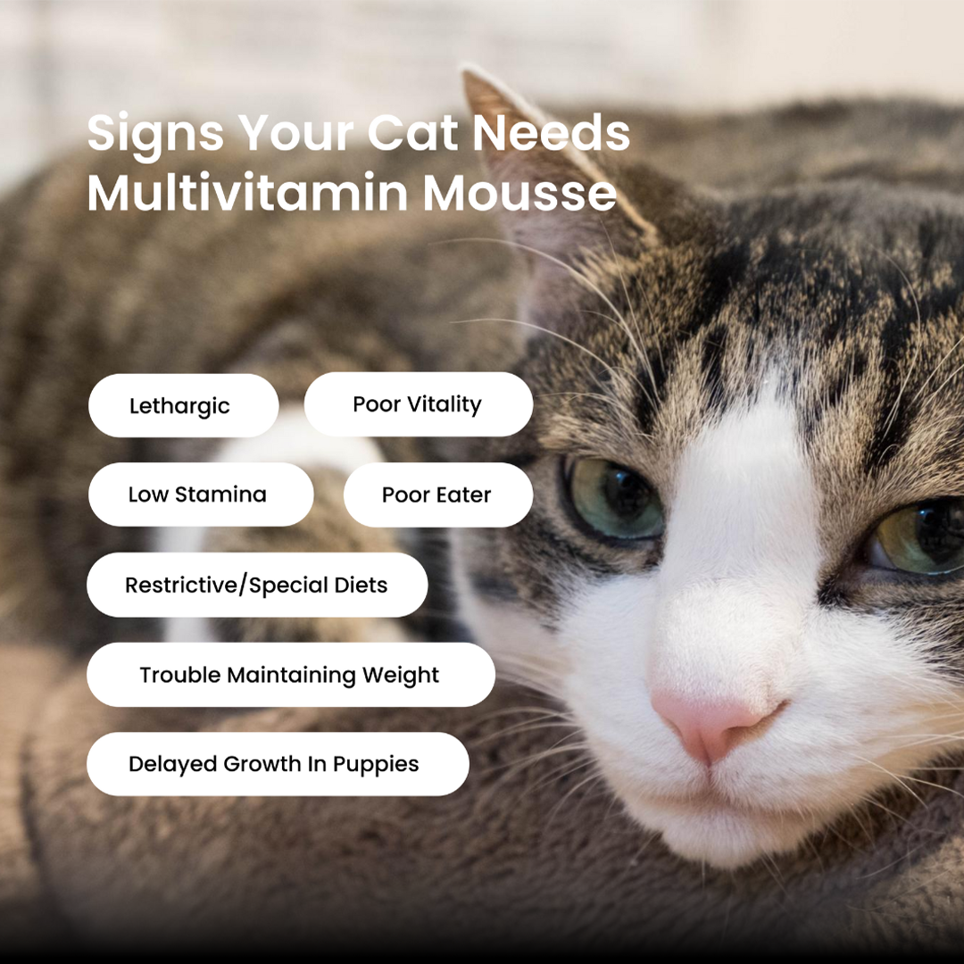Cat Multivitamin Mousse