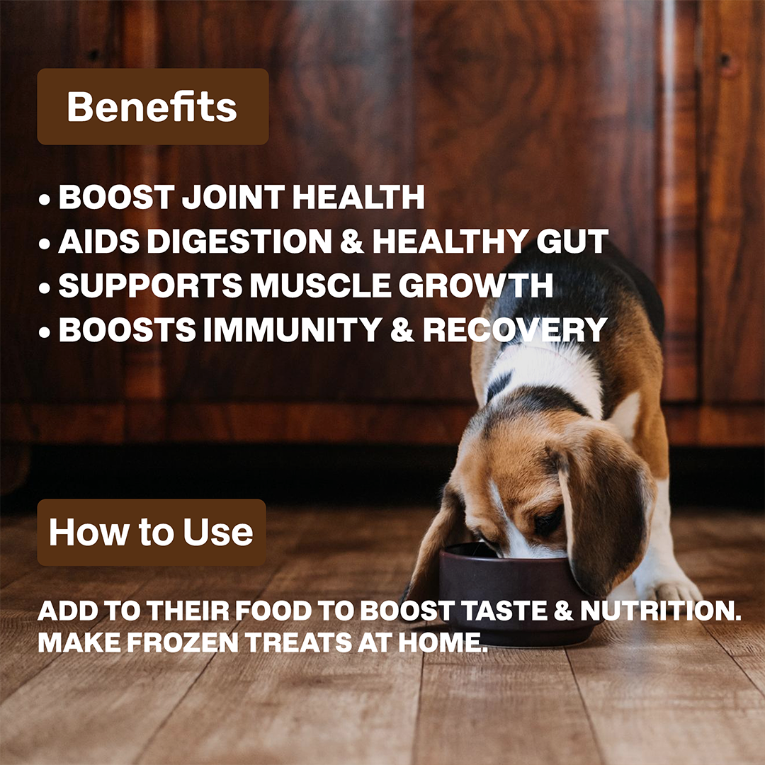 Chicken Bone Broth - Main Image