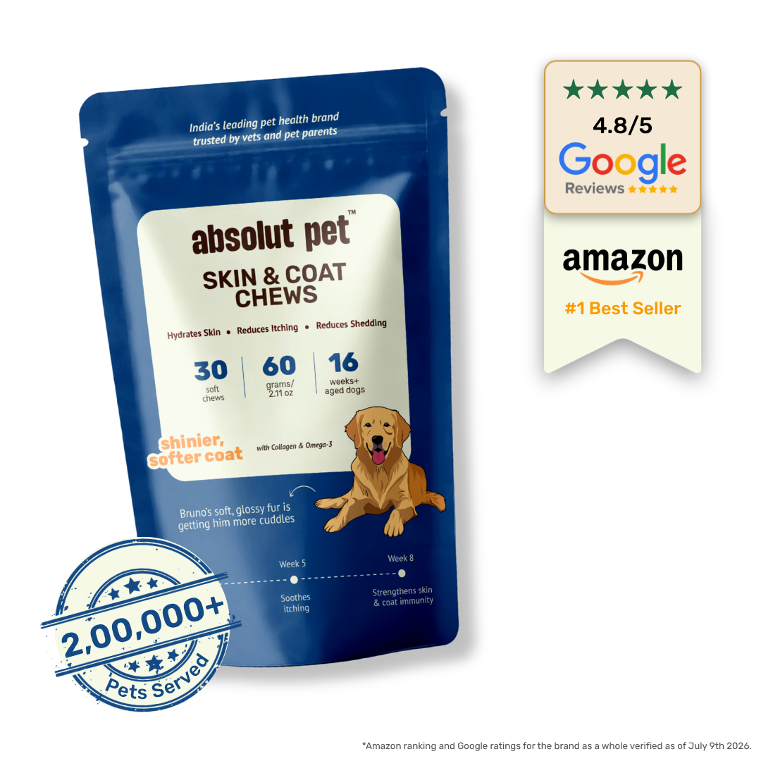 Skin & Coat Supplement