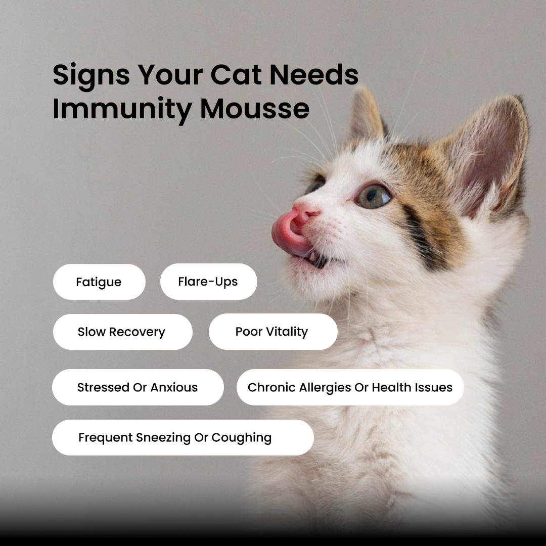 Cat Immunity Mousse