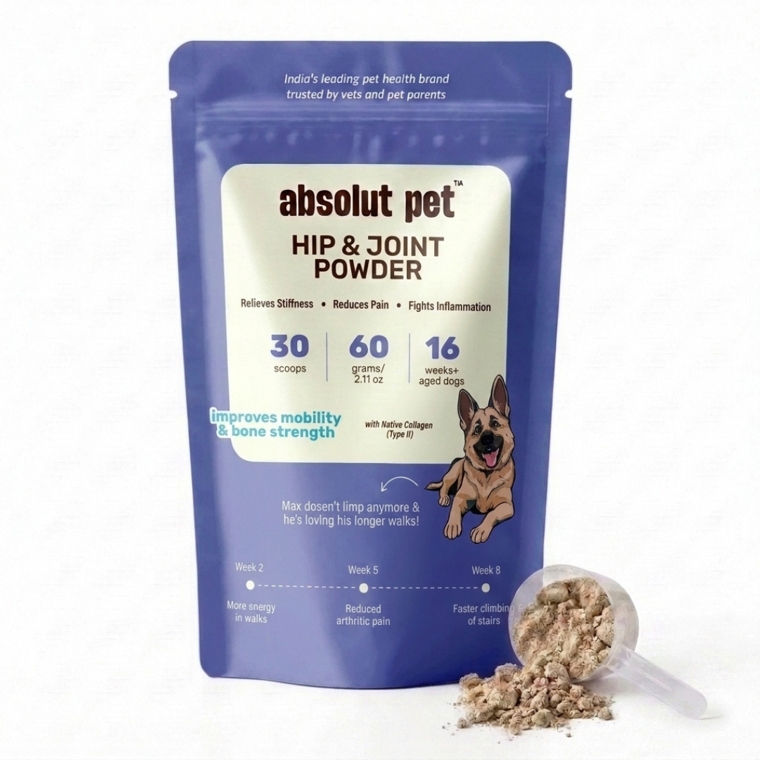 Hip & Joint Supplement