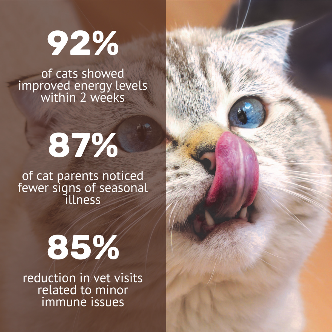 Cat Immunity Mousse