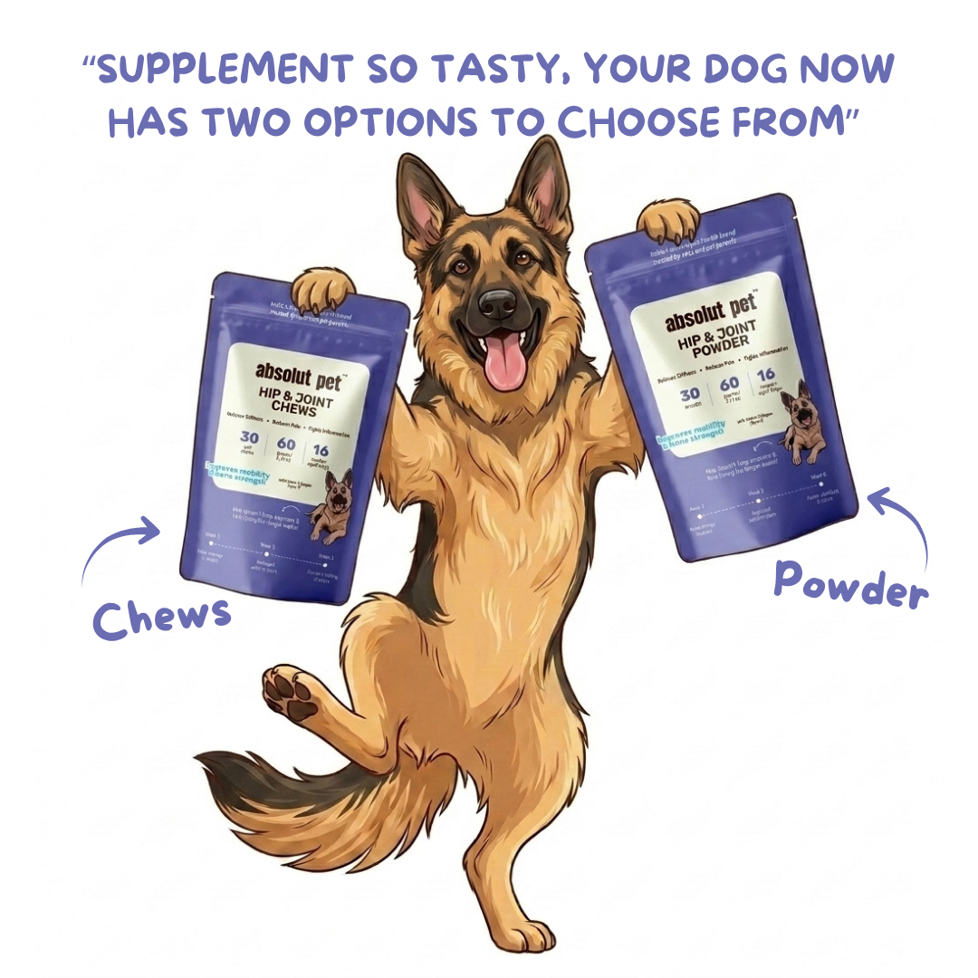 Hip & Joint Supplement