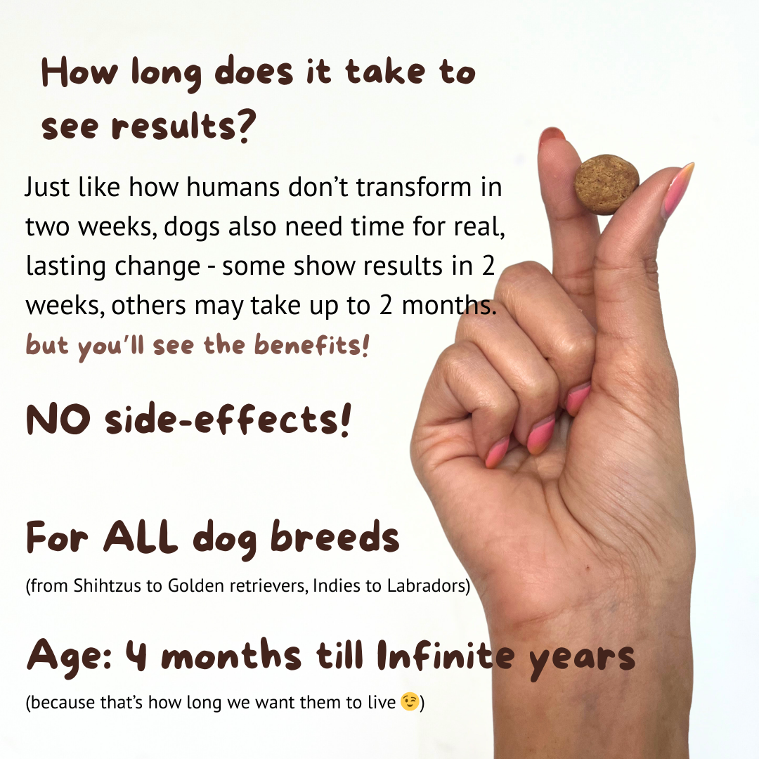 Probiotic & Gut Chews