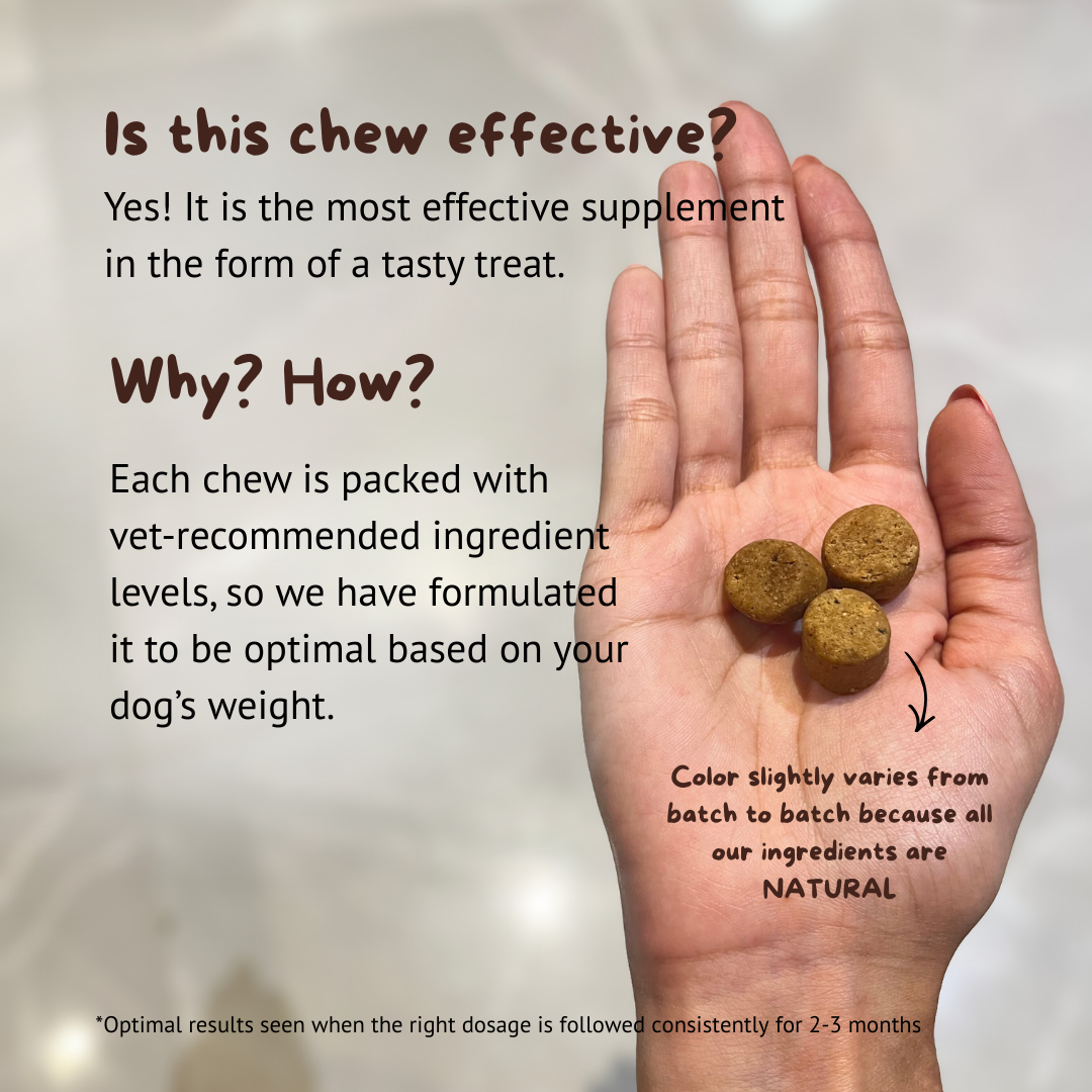 Probiotic & Gut Chews