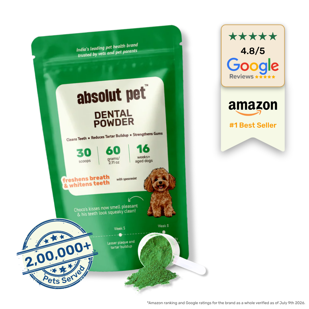 Dental Supplement