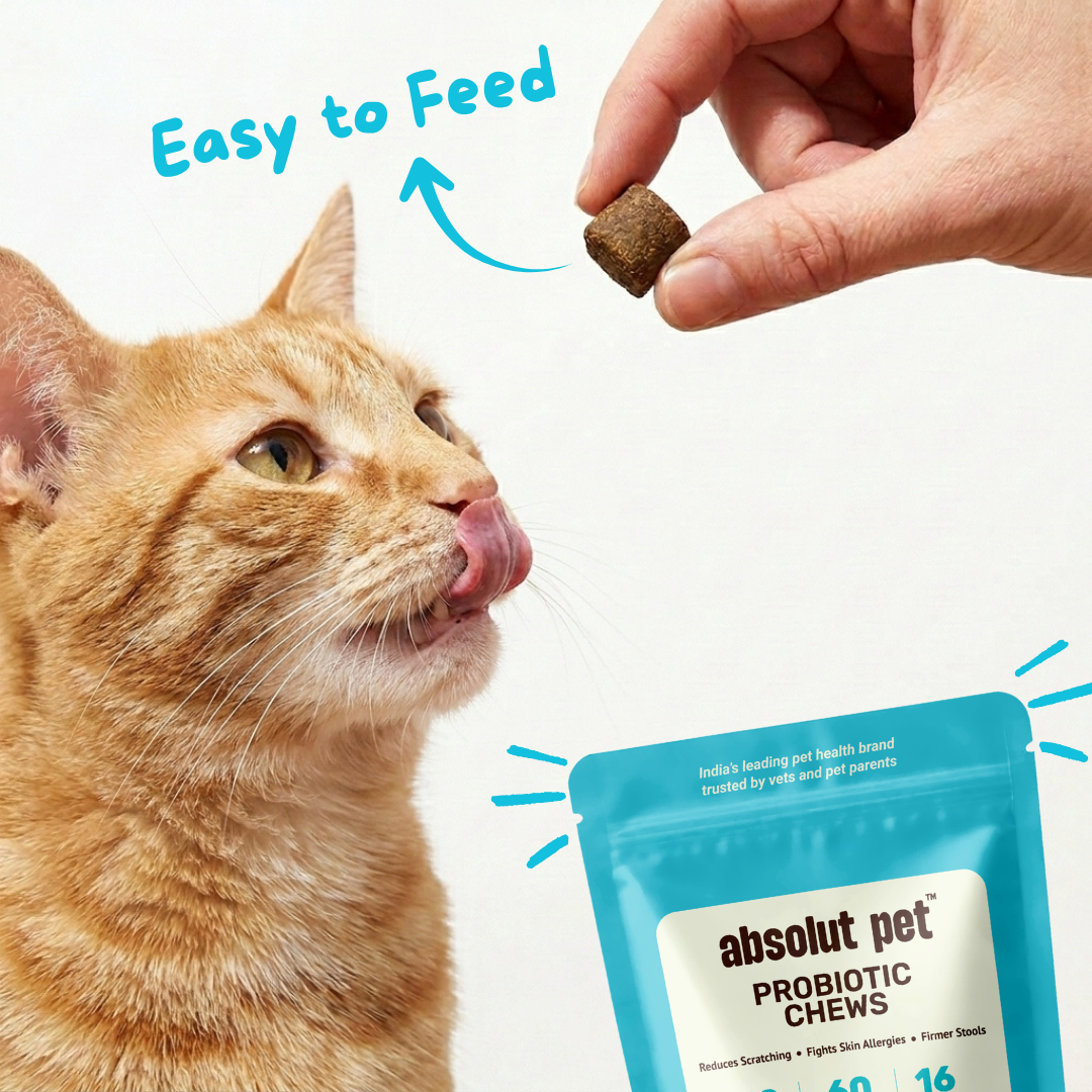 Cat Probiotic Mousse