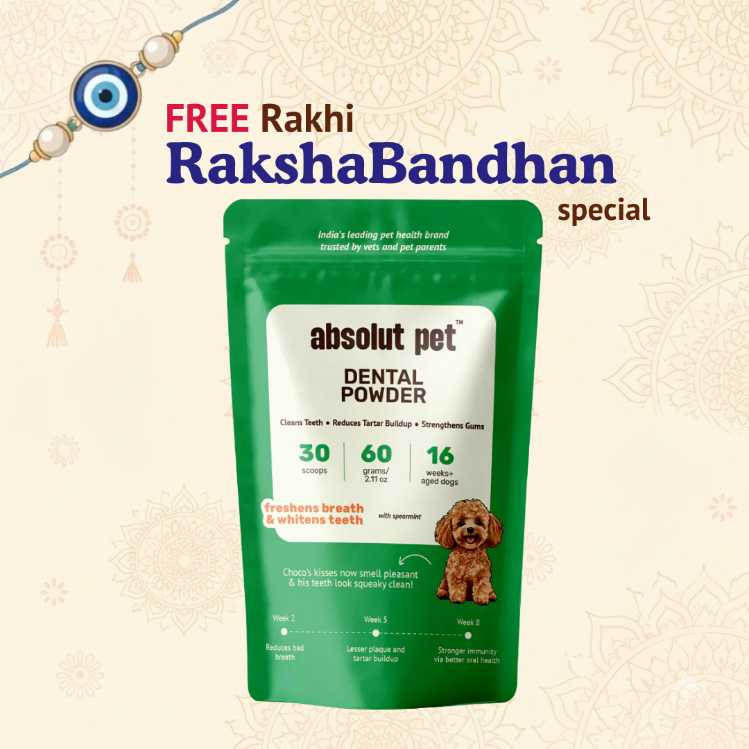 Dental Supplement