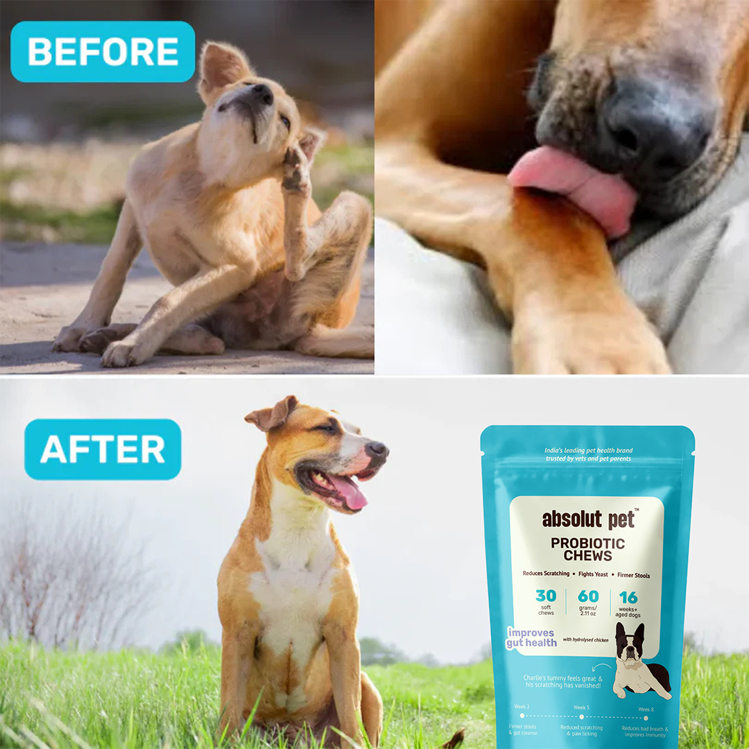 Probiotic, Hip & Joint, Skin & Coat Combo