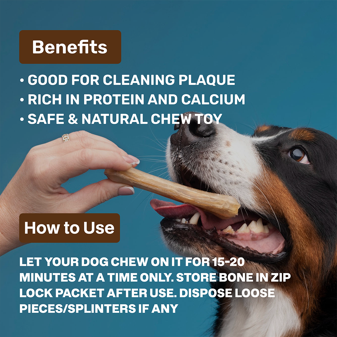 Pork Bone - Natural Chew Toy