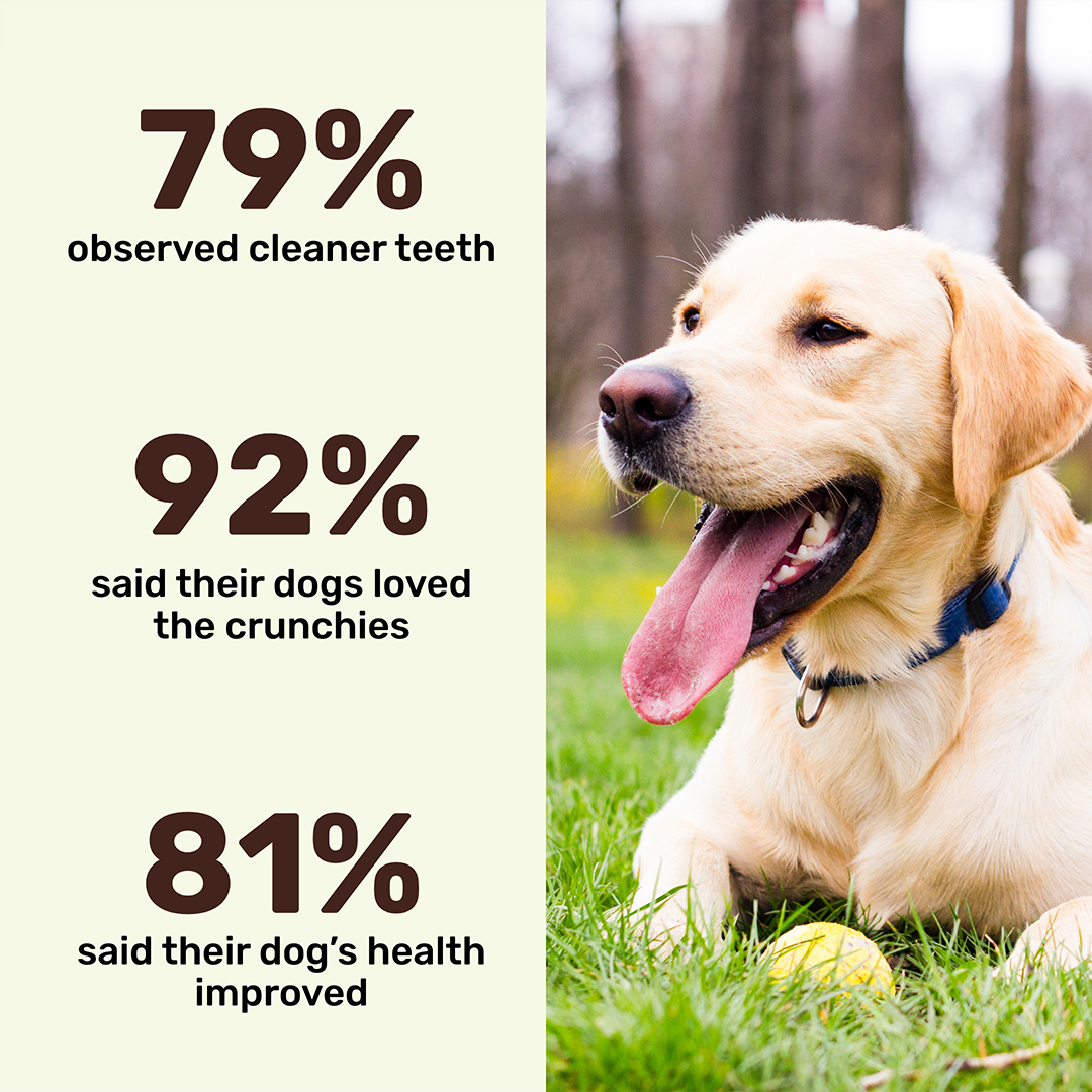 Protein Muscle Bars - Chicken Feet Biscuits