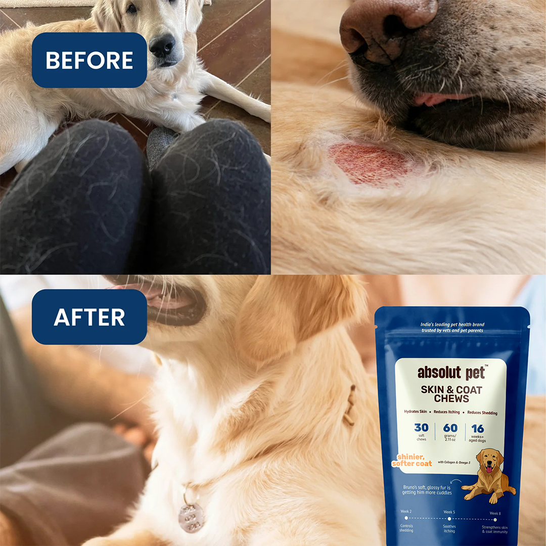 Probiotic & Skin Combo