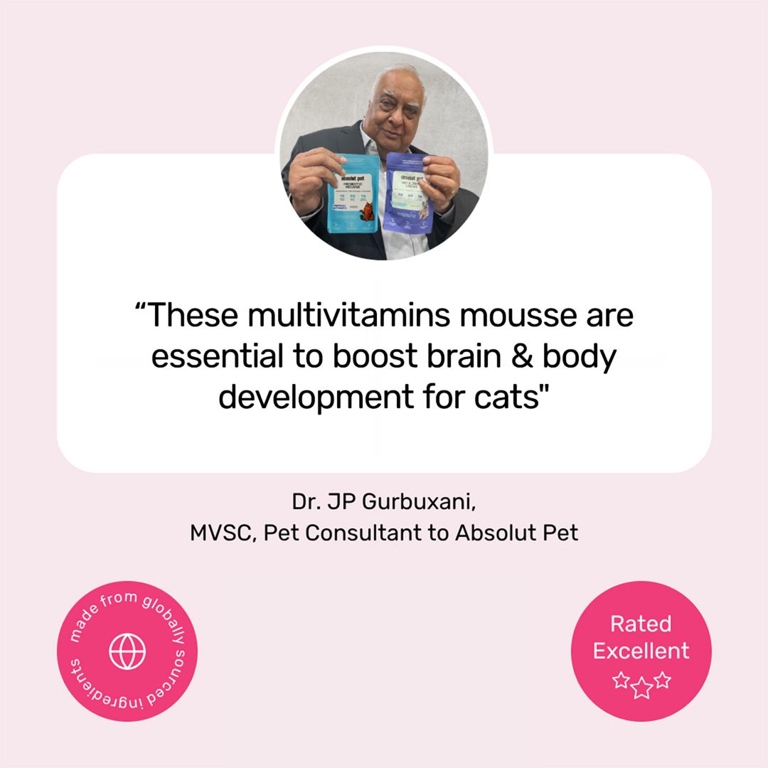 Cat Multivitamin Mousse