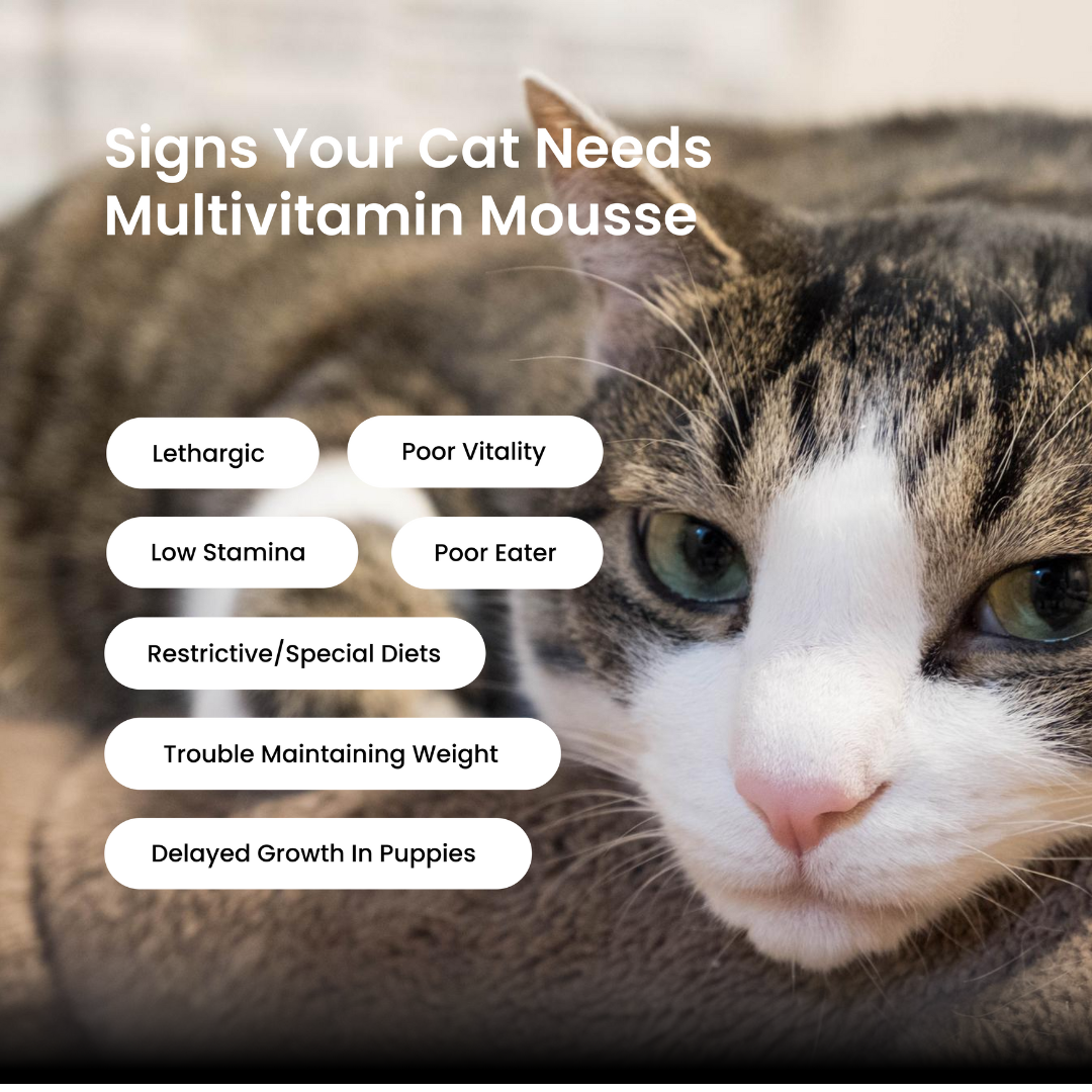Cat Multivitamin Mousse