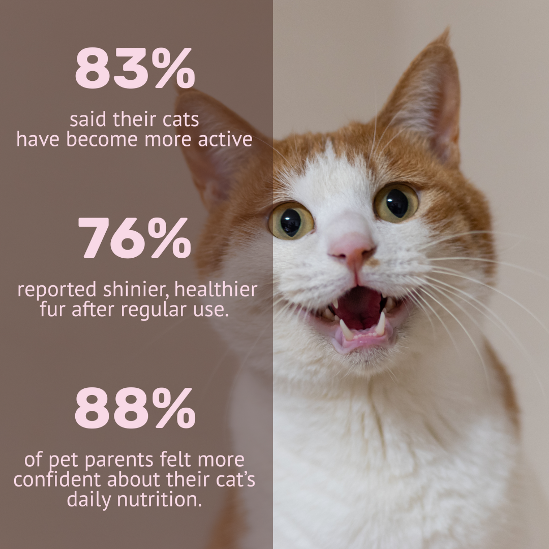 Cat Multivitamin Mousse
