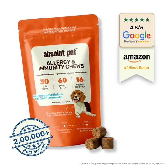 Allergy & Immunity Chews