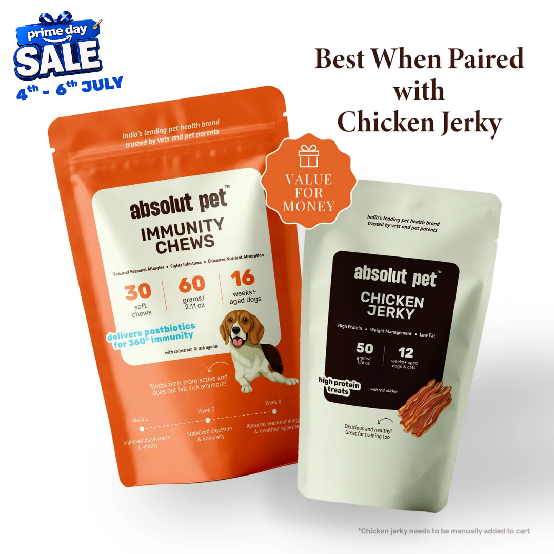 Allergy & Immunity Chews