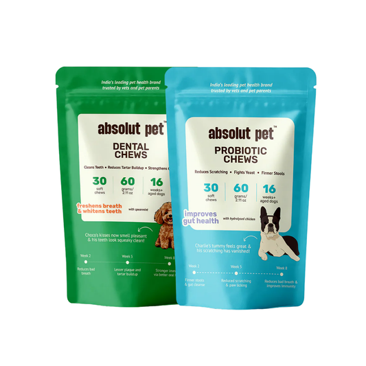 Probiotic & Dental Combo