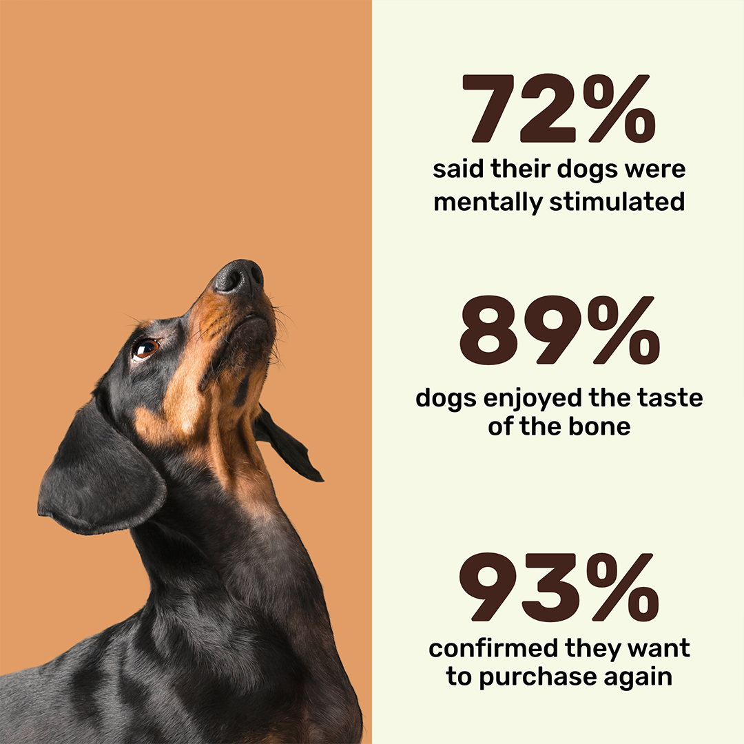 Pork Bone - Natural Chew Toy