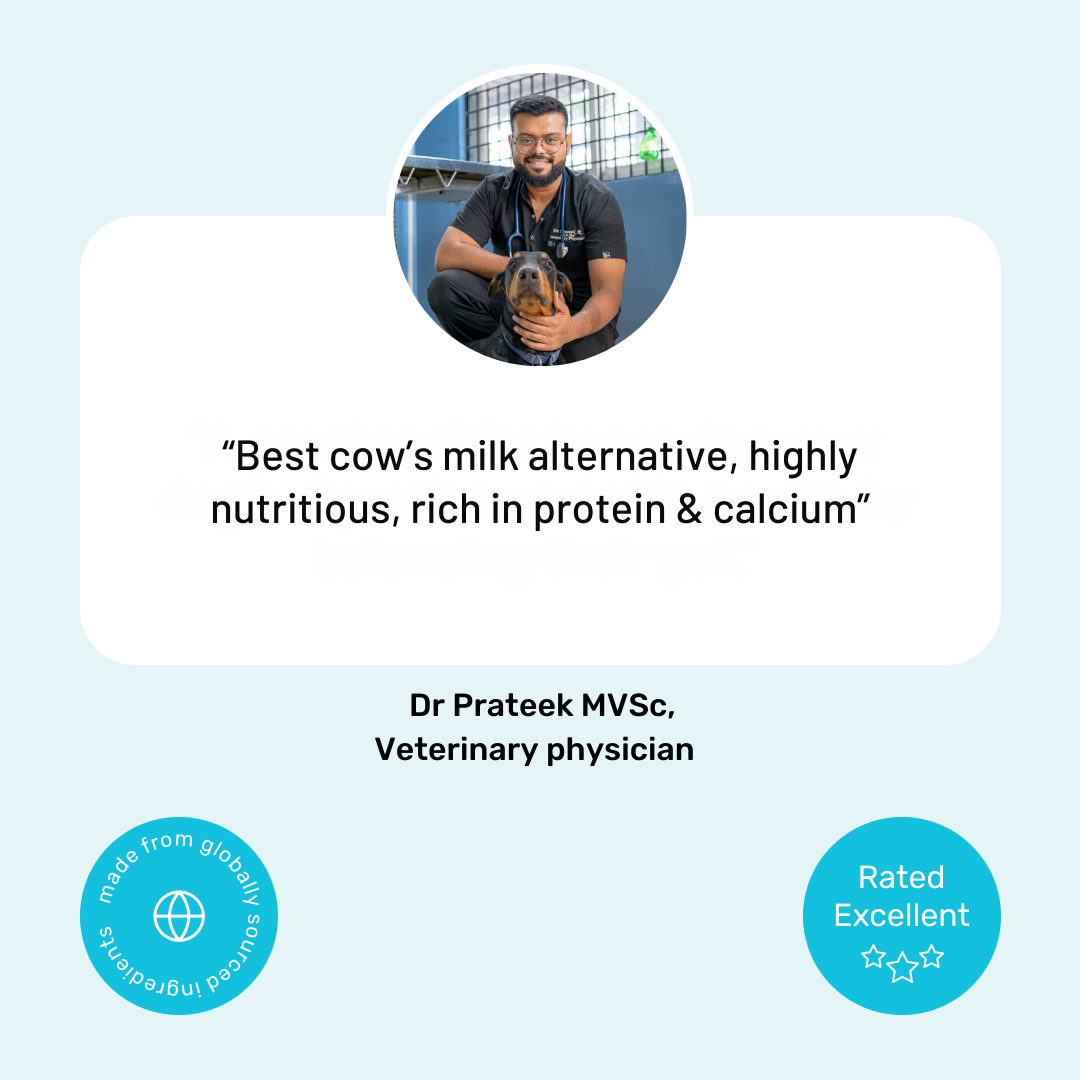 Protein Milk For Dogs