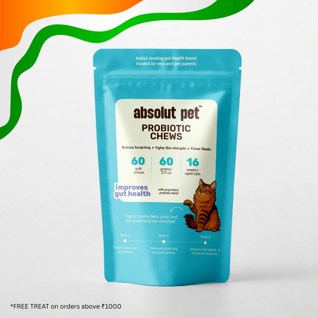 Cat Probiotic Supplement