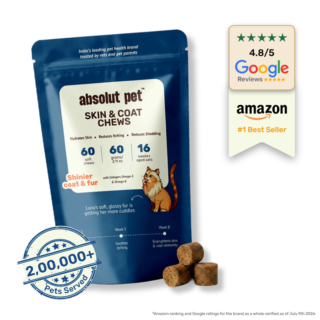 Cat Skin & Coat Supplement