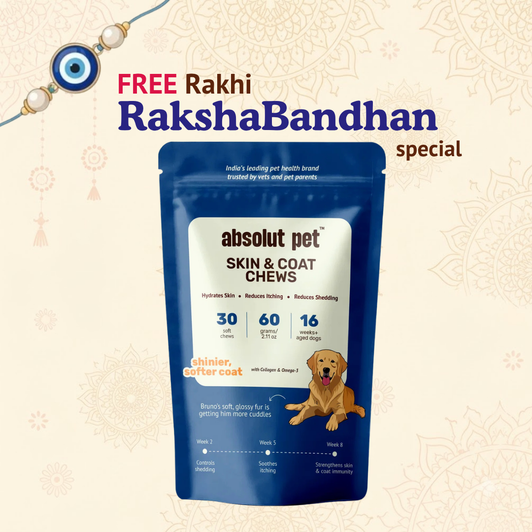Skin & Coat Supplement