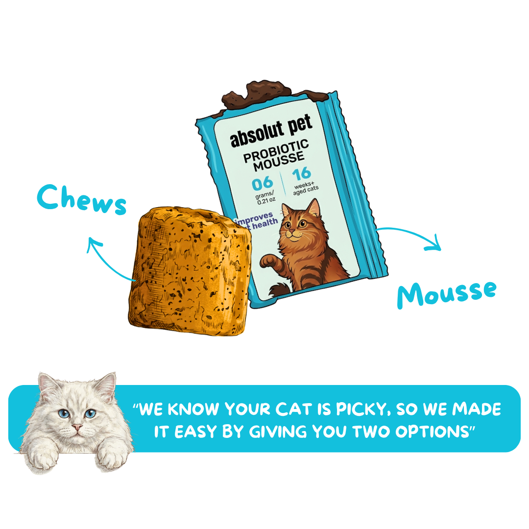 Cat Probiotic Mousse