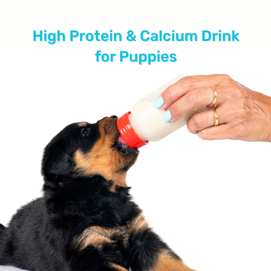 Protein Milk For Dogs