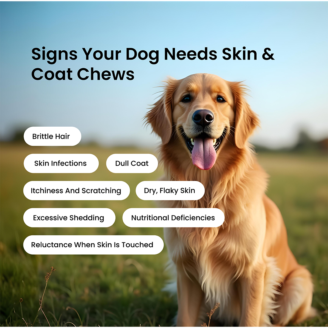 Probiotic & Skin Combo