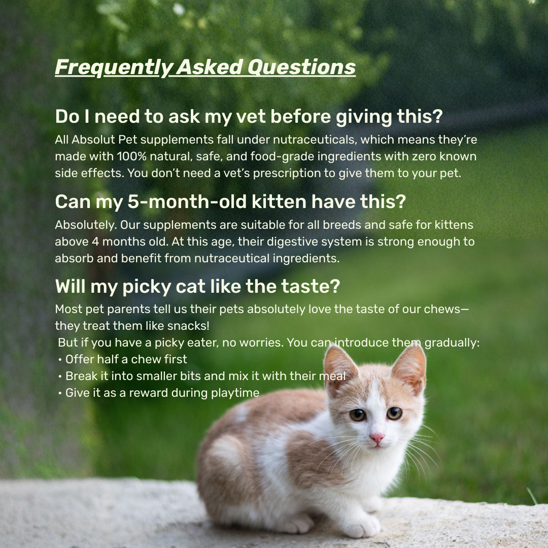 Cat Probiotic Mousse