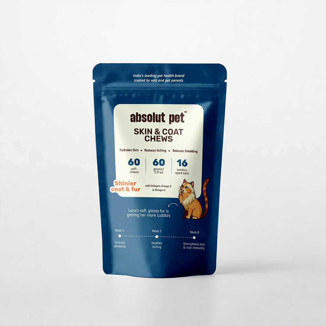 Cat Skin & Coat Supplement