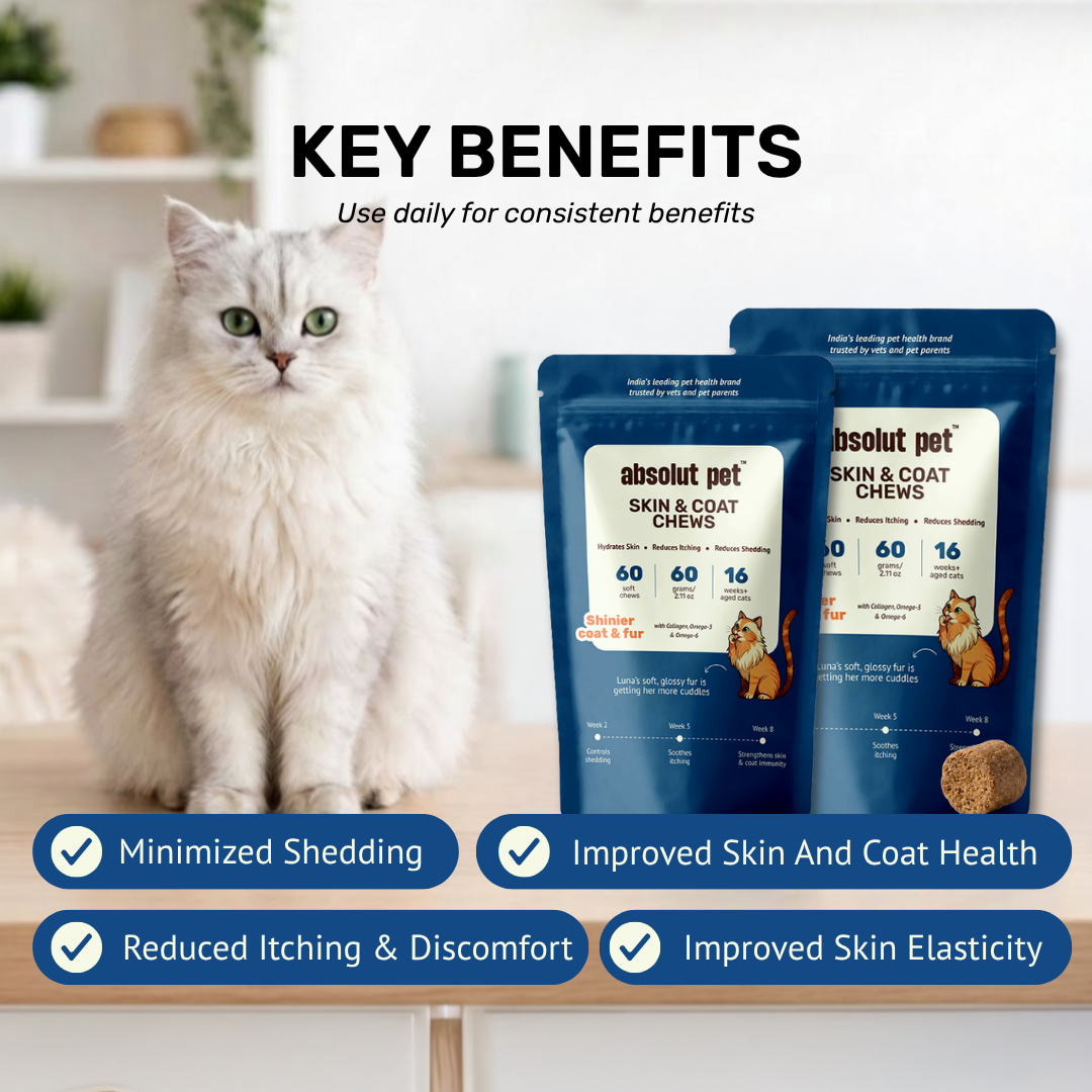 Cat Skin & Coat Supplement
