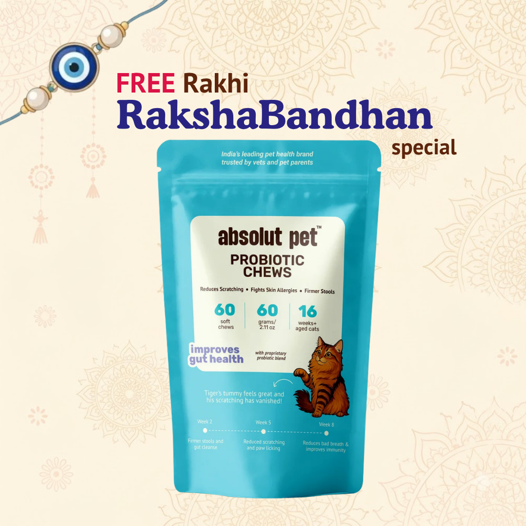 Cat Probiotic Supplement