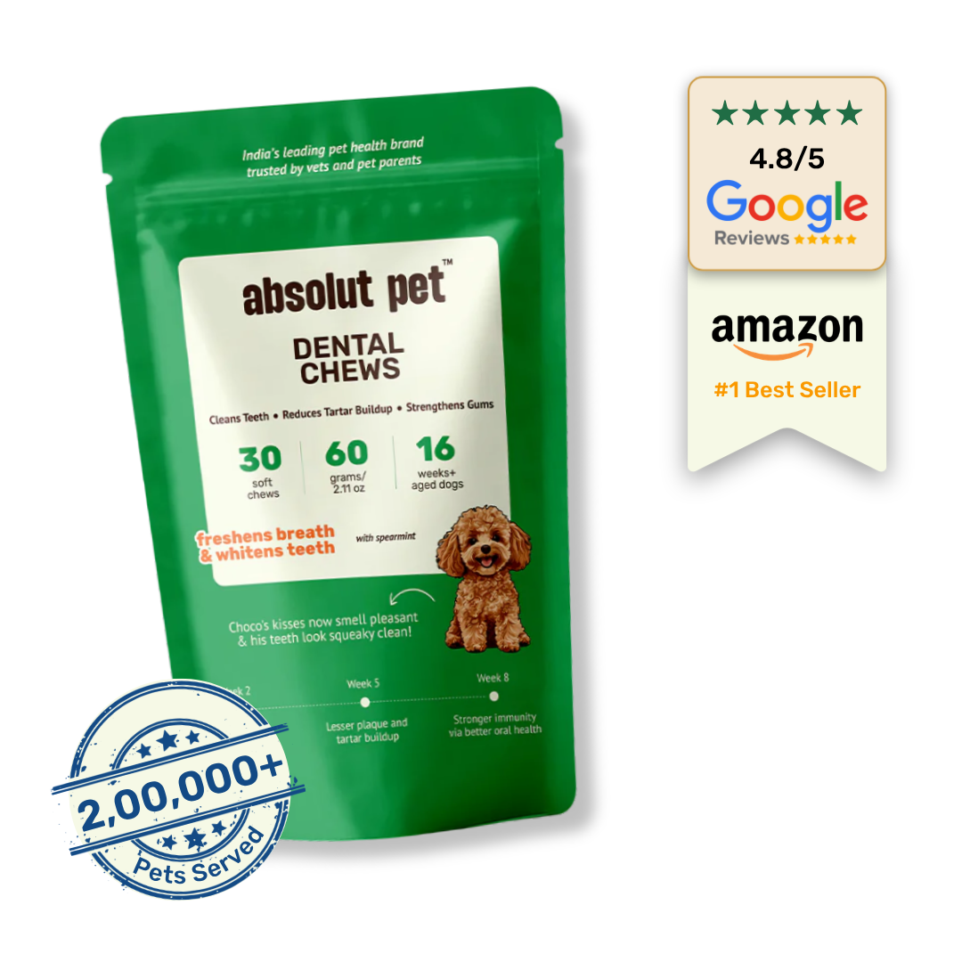 Dental Supplement