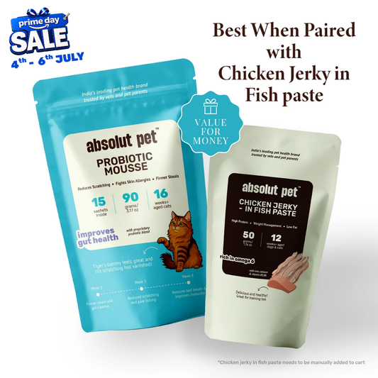 Cat Probiotic Supplement