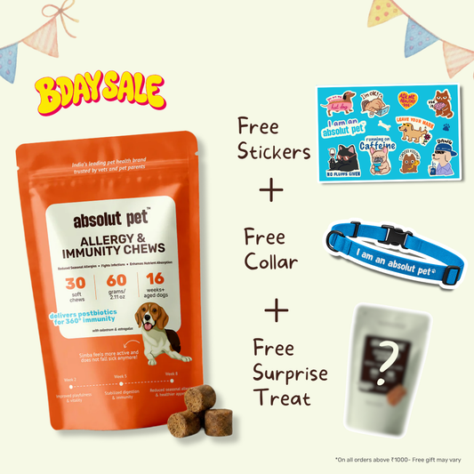 Allergy & Immunity Chews
